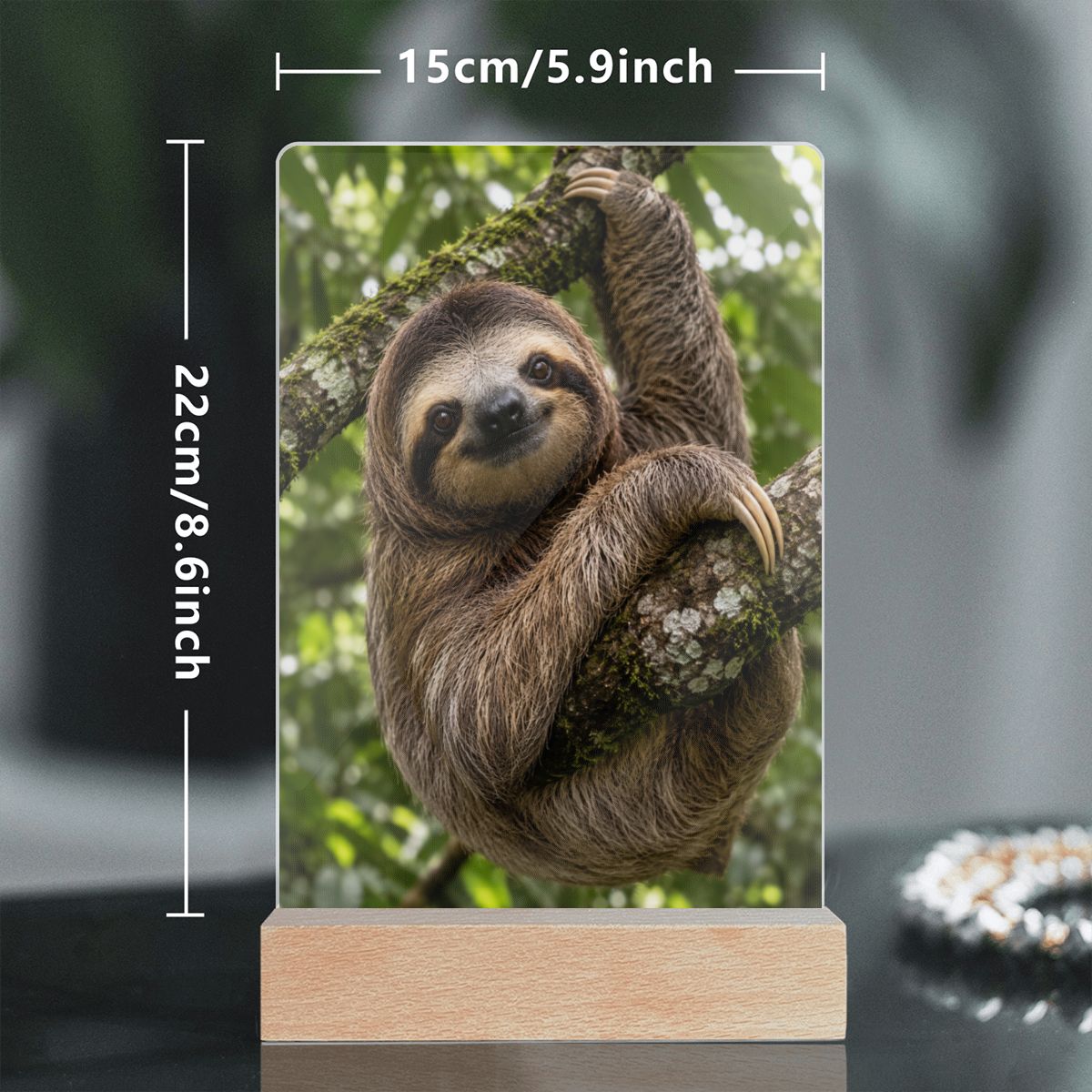 Sloth, Acrylic Night Light