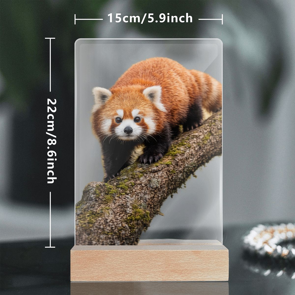 Red Panda, Acrylic Night Light