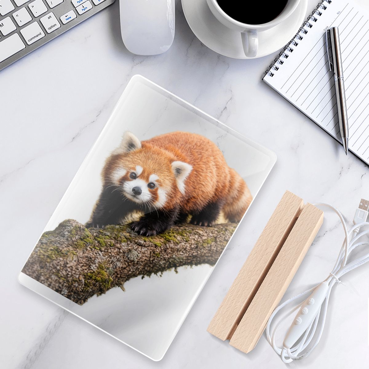 Red Panda, Acrylic Night Light