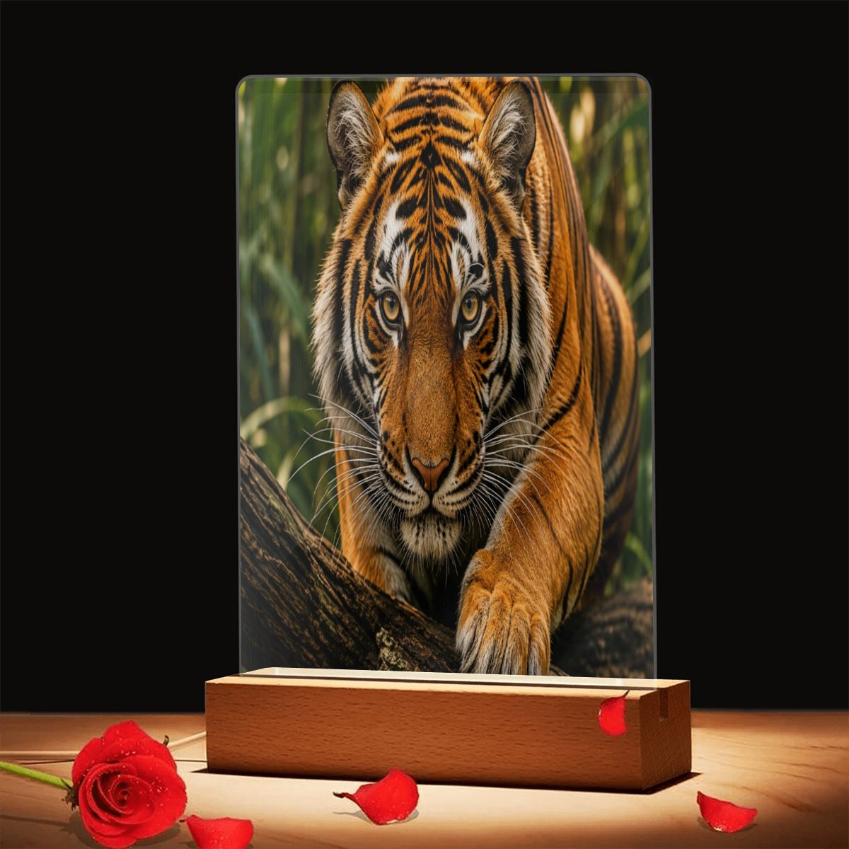 Tiger, Acrylic Night Light