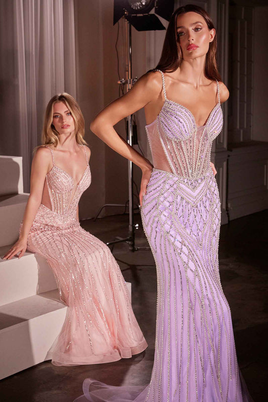 Ladivine CD759 Embellished Fit & Flare Prom Dress