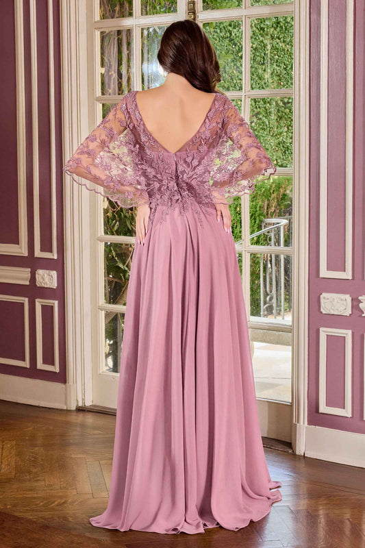 Ladivine CL10 Mother of the Bride V-Neckline Lace Bodice A-Line Gown