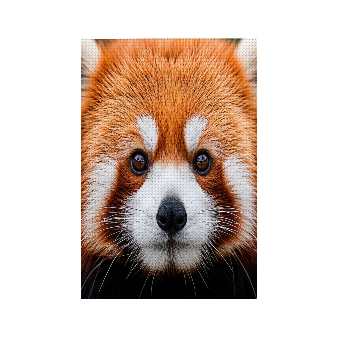 Red Panda DIY Diamond Painting with Frame