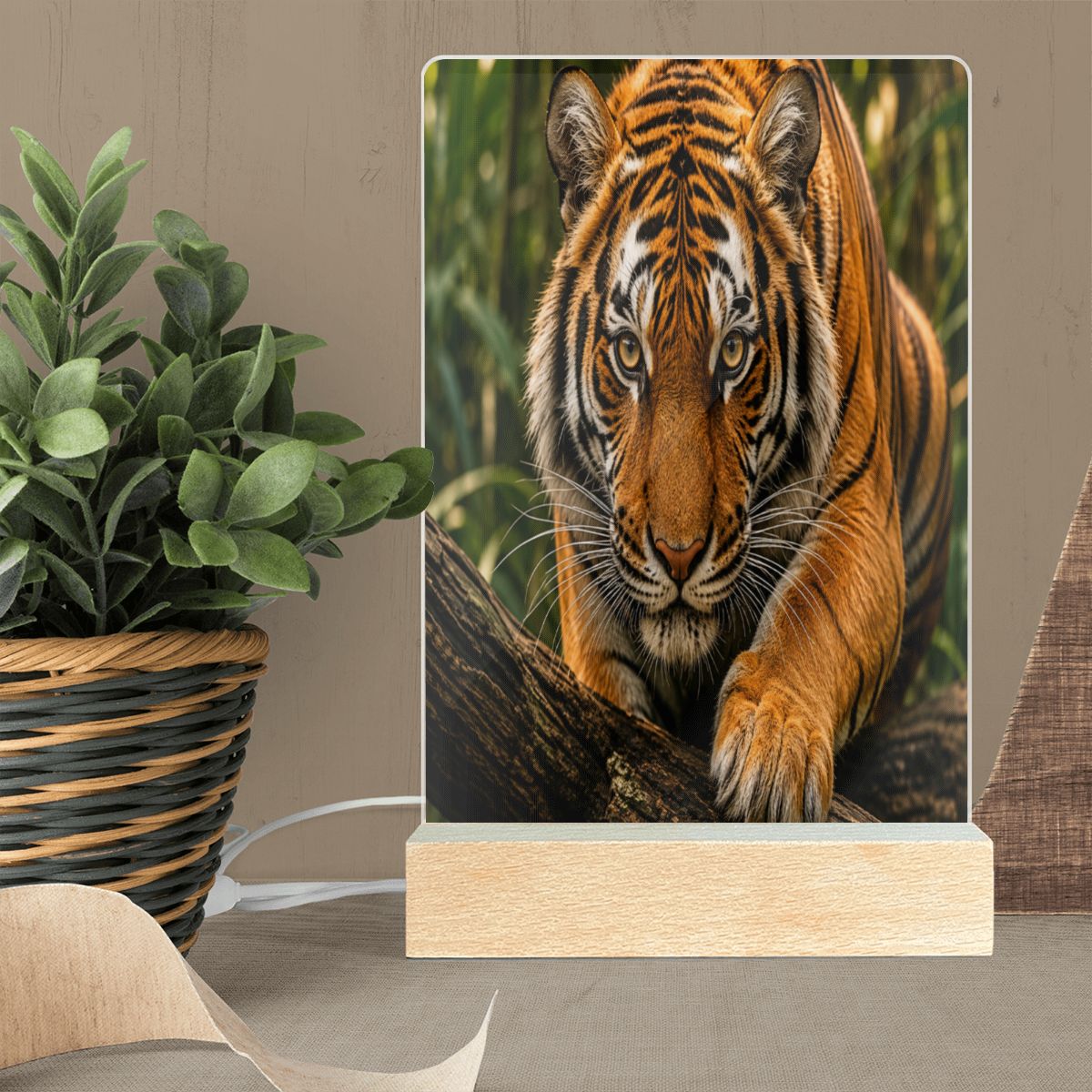 Tiger, Acrylic Night Light