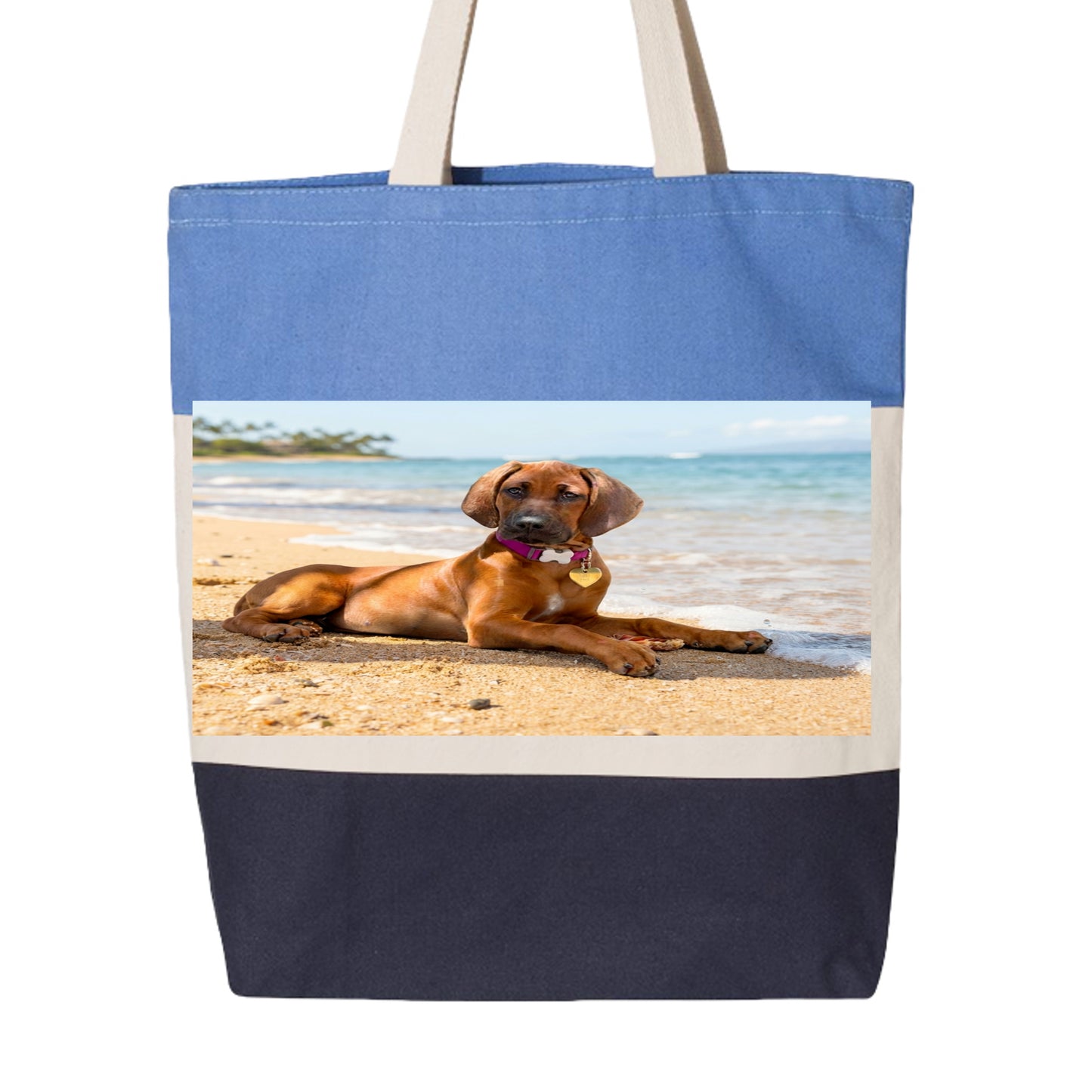 Navy/ Natural/ Carolina Blue - Q125900 - BACK