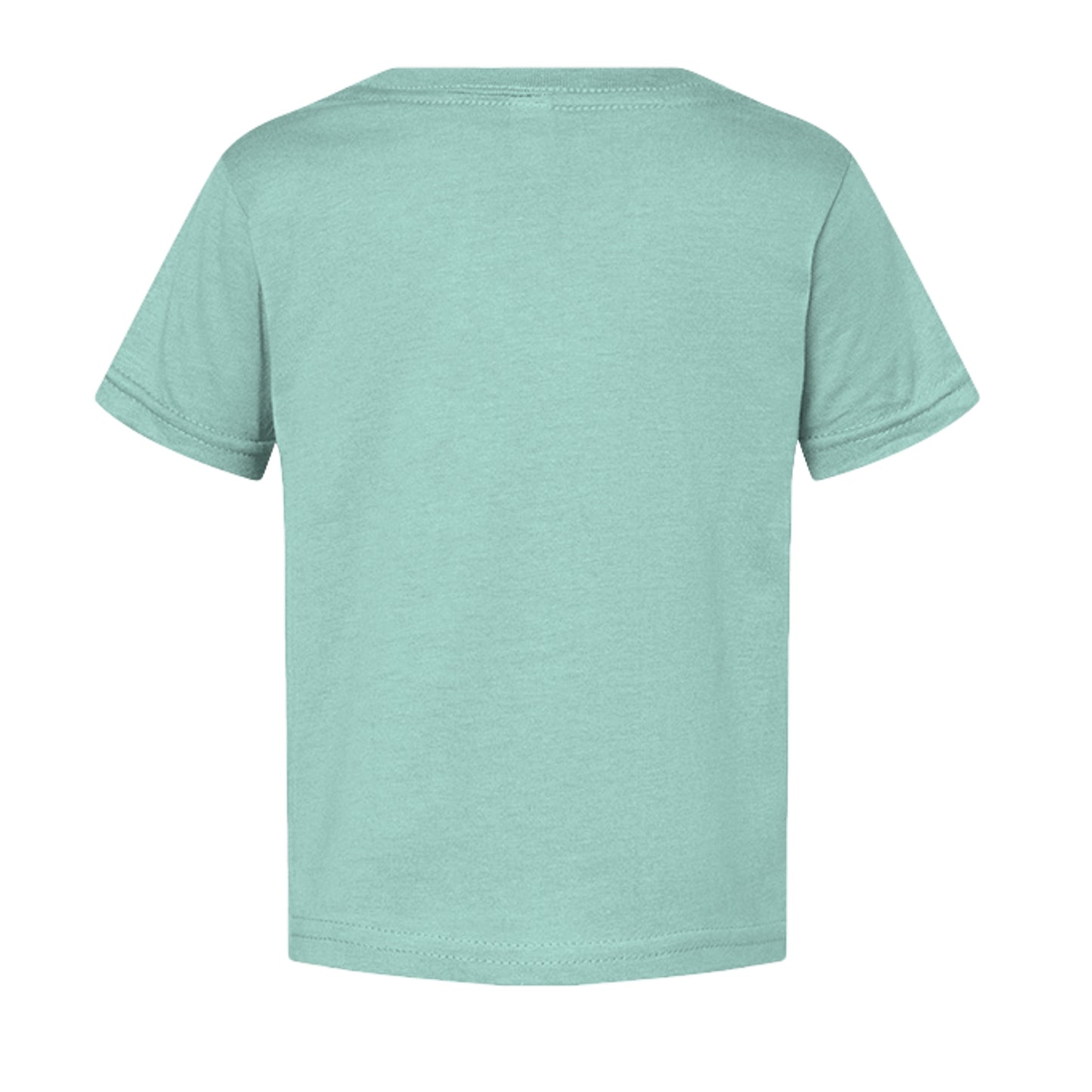 Saltwater - 3321 - BACK